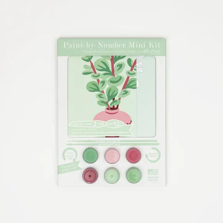 succulent paint by numbers Succulent Stems Mini Paint by Number Kit
