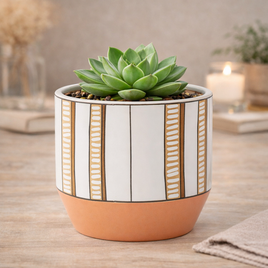 2-Tone Stripes Planter