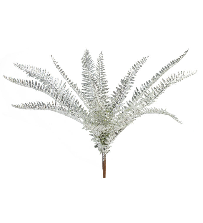 Silver Sparkling Fern Bush