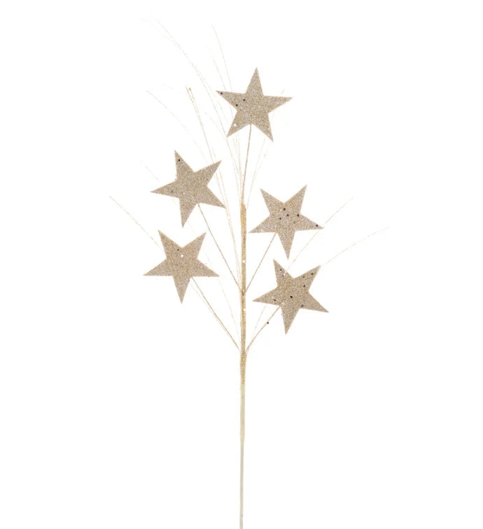 Gold Glitter Star Spray