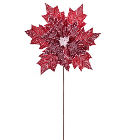 Red/White Embossed Poinsettia