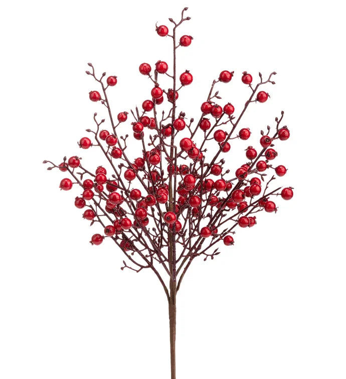 Red Berry Bush