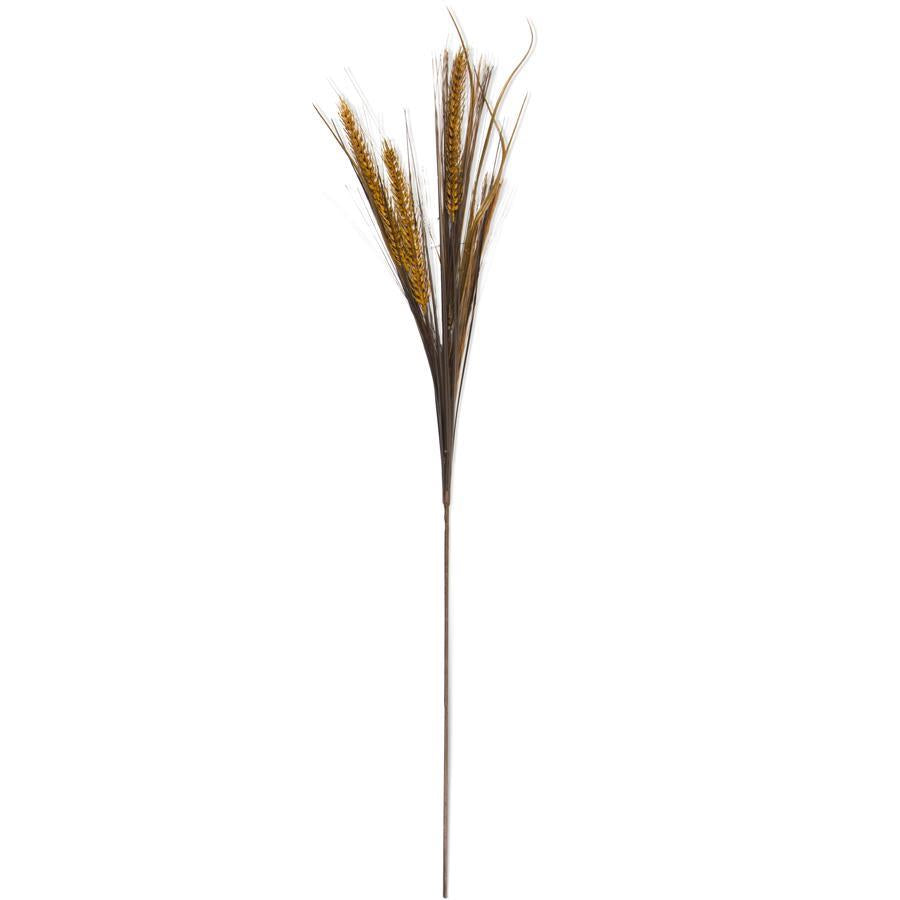 Wheat and Grass Stem