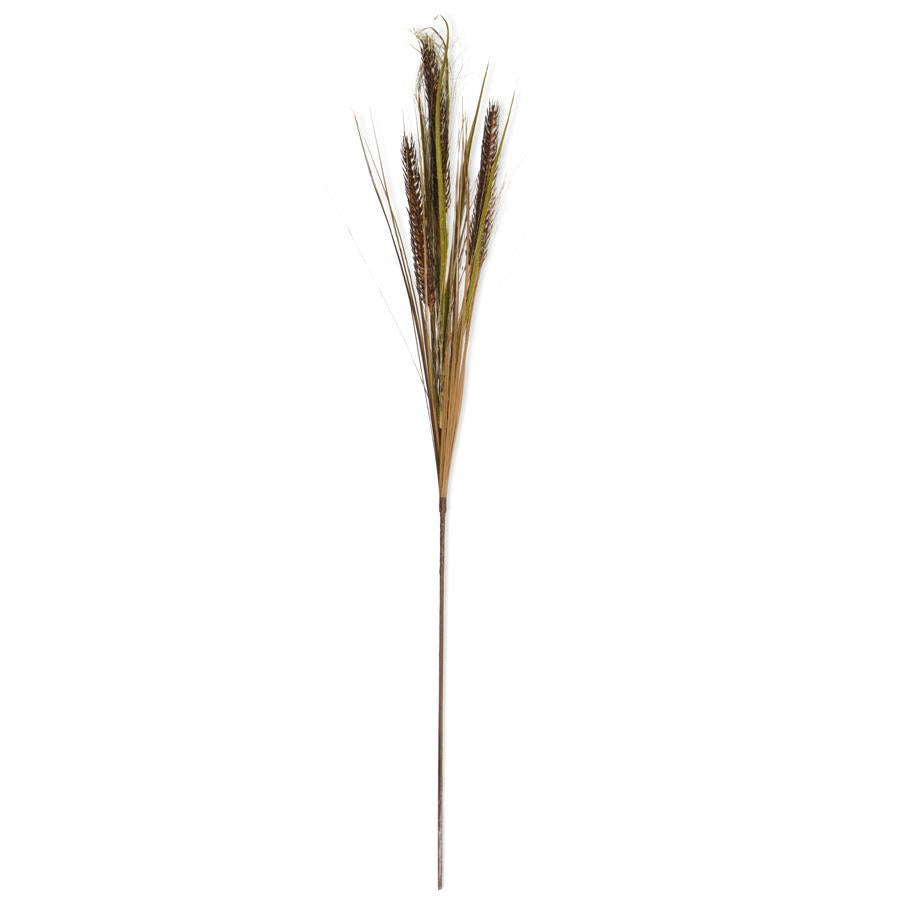 Wheat and Grass Stem