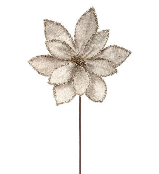 Champagne Glitter Edge Poinsettia