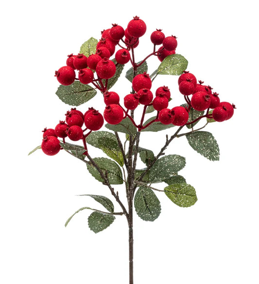 Red Flocked Berry Leaves Bush