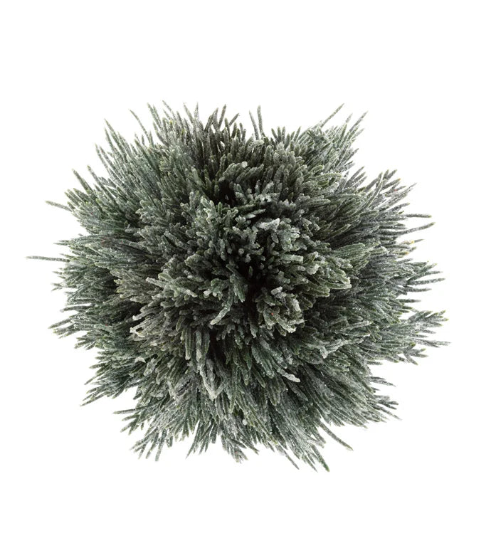 Frost Pine Ball