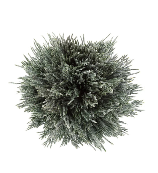 Frost Pine Ball
