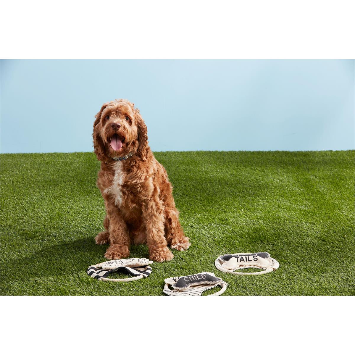 Frisbee & Bone Dog Toy Set