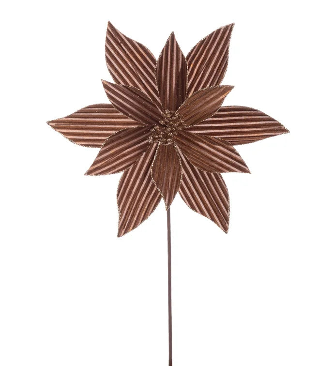 Brown Ribbed Poinsettia