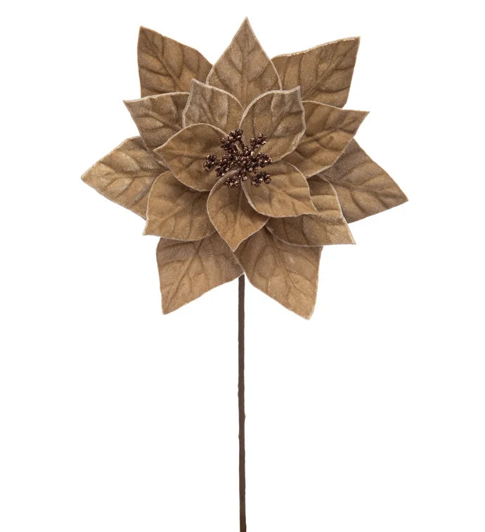 Taupe Poinsettia