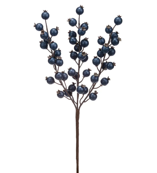 Royal Blue Berry Pick