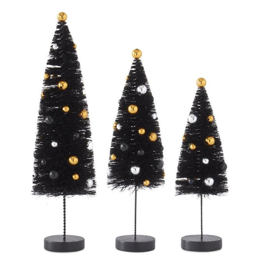 Black Bottle Brush Tree