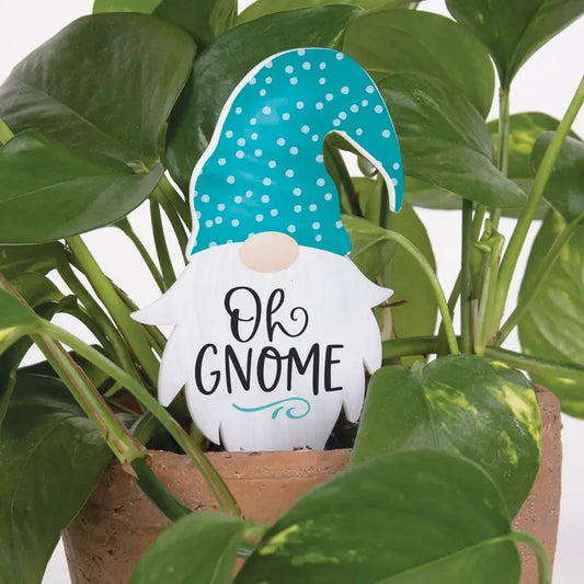 Oh Gnome Plant Pal