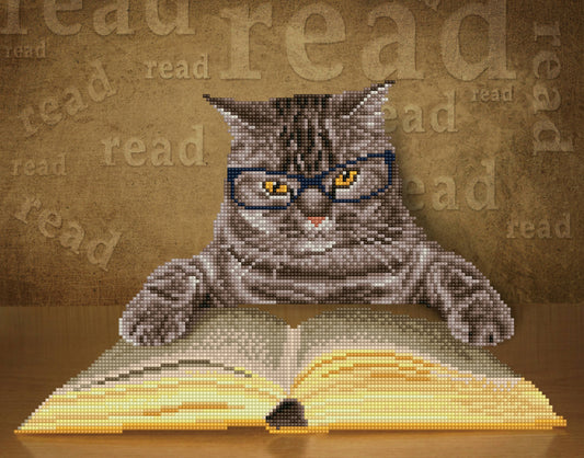 I Can Read Diamond Art