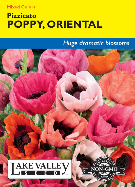 Poppy Oriental Pizzicato Mixed Color Seeds