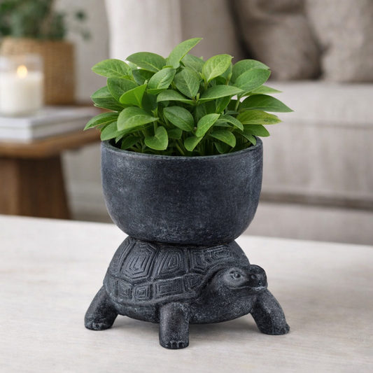 Turtle with Planter on Back