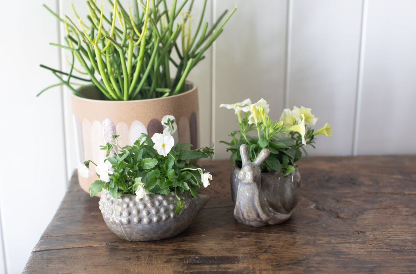 Ceramic Hedgehog Planter