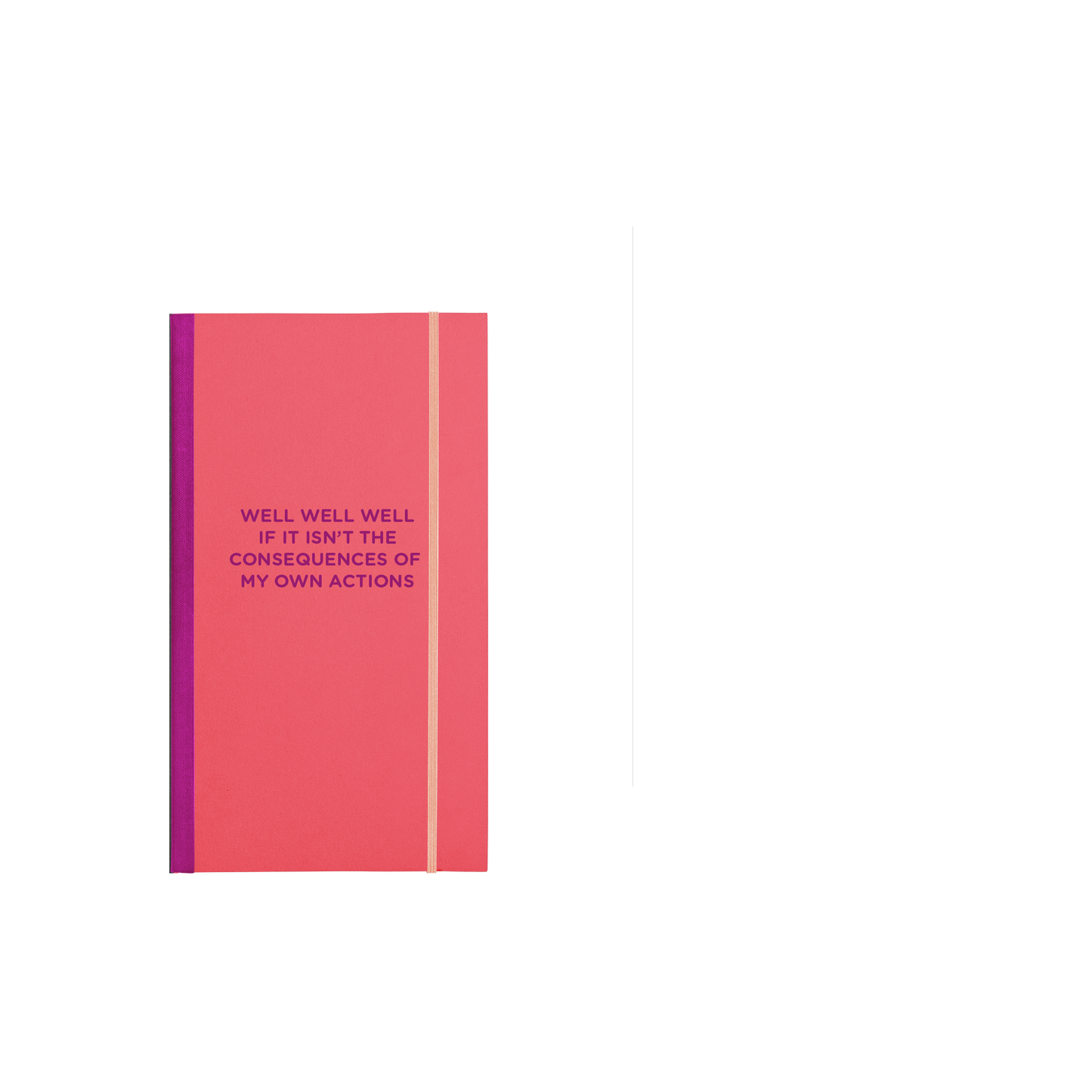 Skinny Notebook - Well, Well, Well