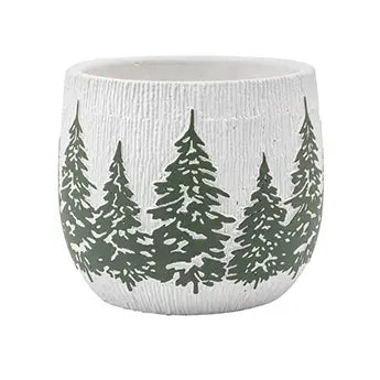 White Planter with Evergreen Tree