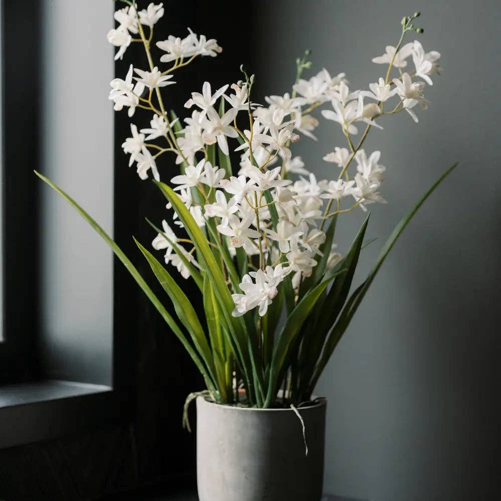 Artificial White Orchid in Vanda Pot