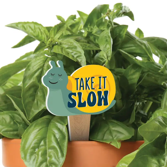 Take It Slow Plant Pal