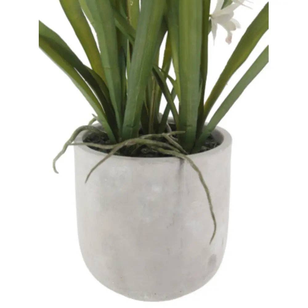 Artificial White Orchid in Vanda Pot