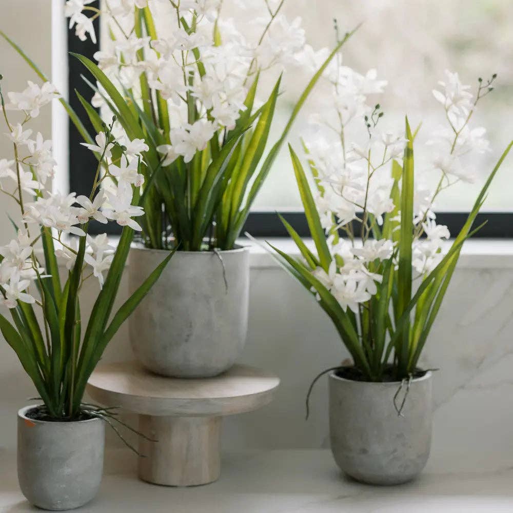 Artificial White Orchid in Vanda Pot
