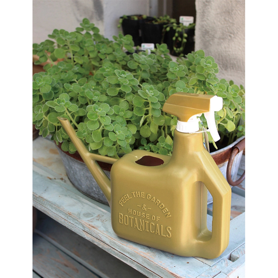 Spray Sprinkler Watering Can