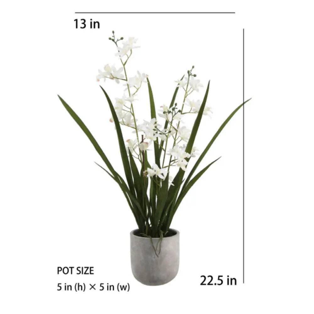 Artificial White Orchid in Vanda Pot