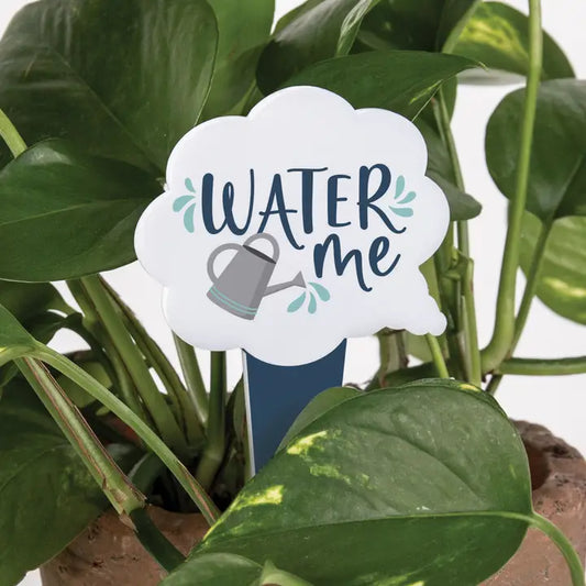 Water Me Plant Pal