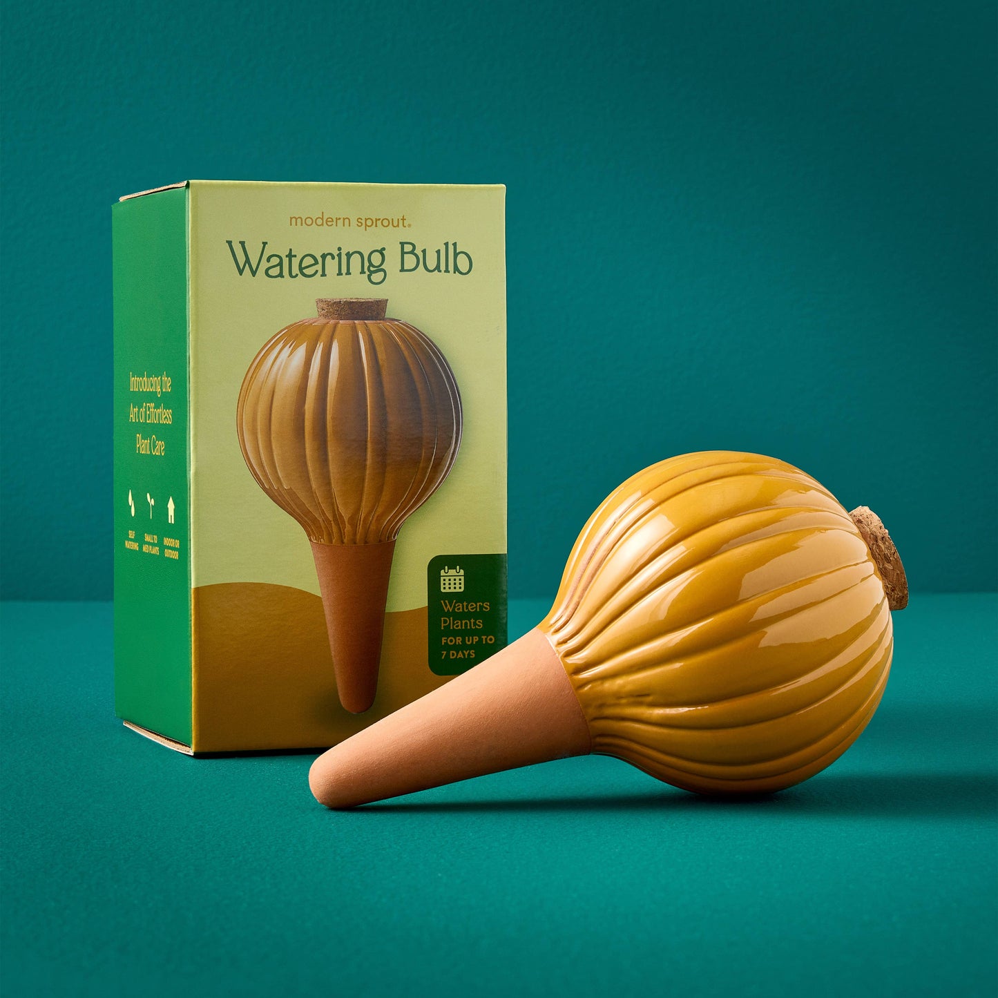 Terracotta Watering Bulb