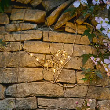 Hanging Robin
