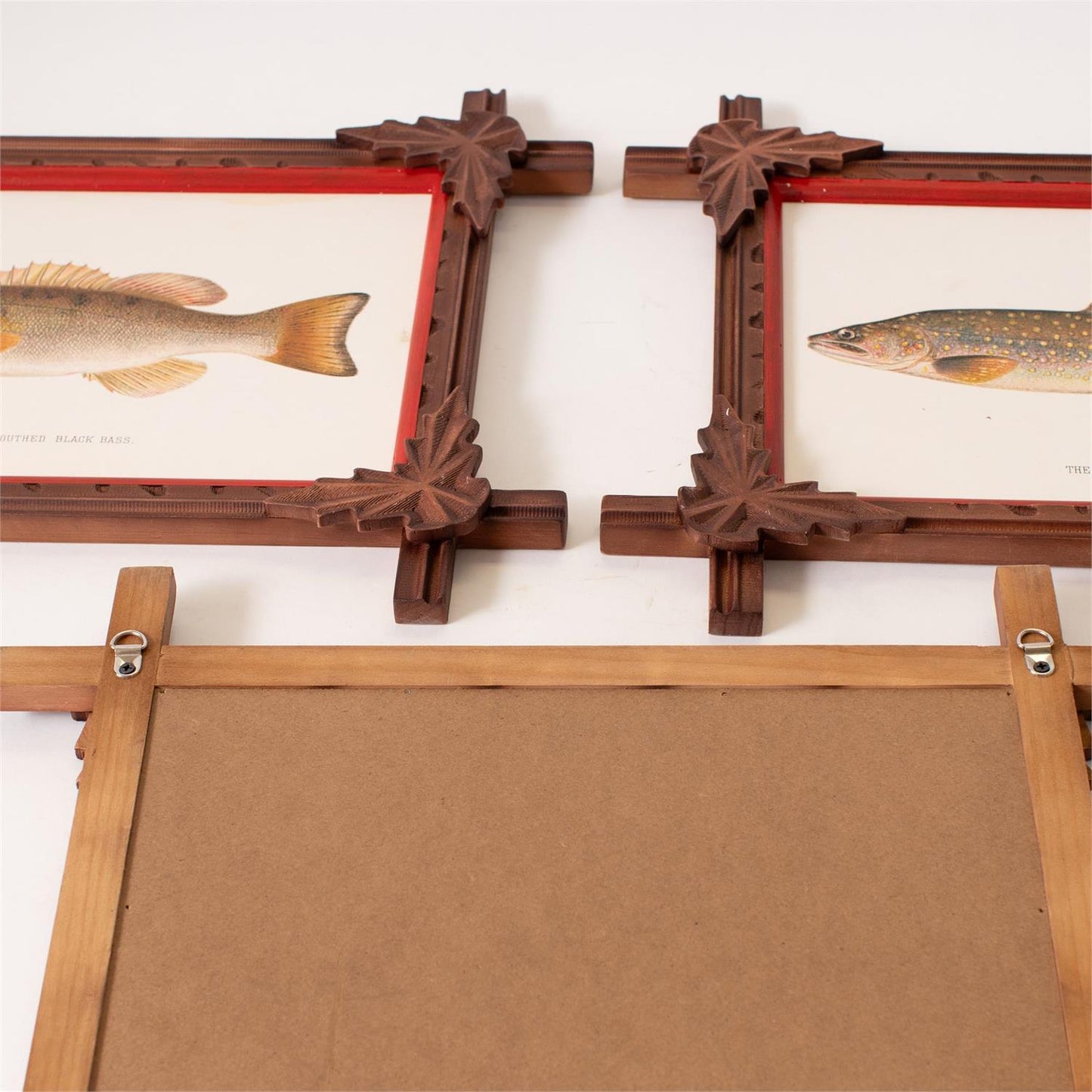 Framed Prints - Freshwater Fish