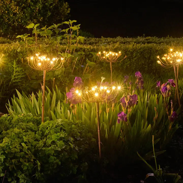 Solar Wild Fennel Garden Lights