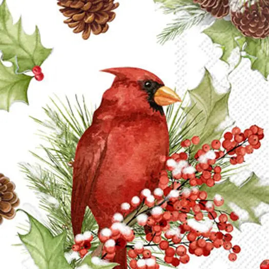 Paper Guest Towels Pk/16 Cardinals in Holly Christmas