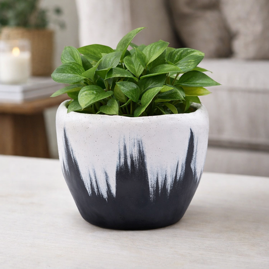 White Black Splash Planter