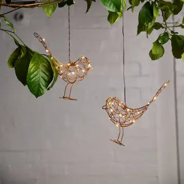 Hanging Robin