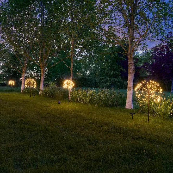 Solar Dandelion Lights