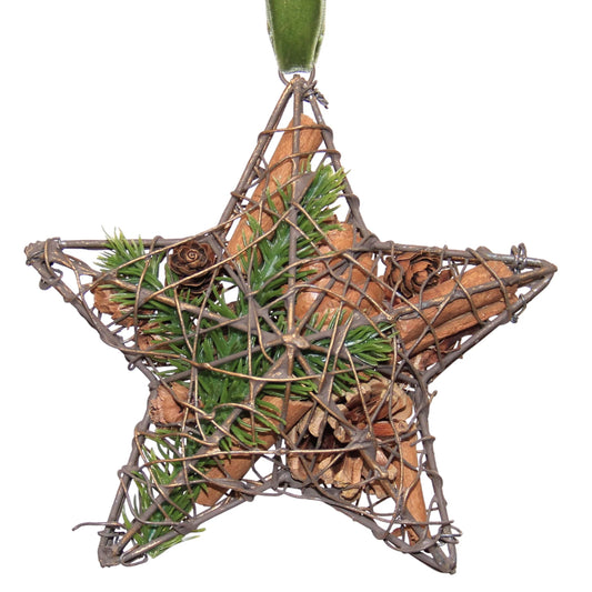 Aspen Star Ornament