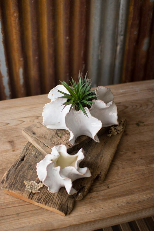 Organic Ceramic Planter