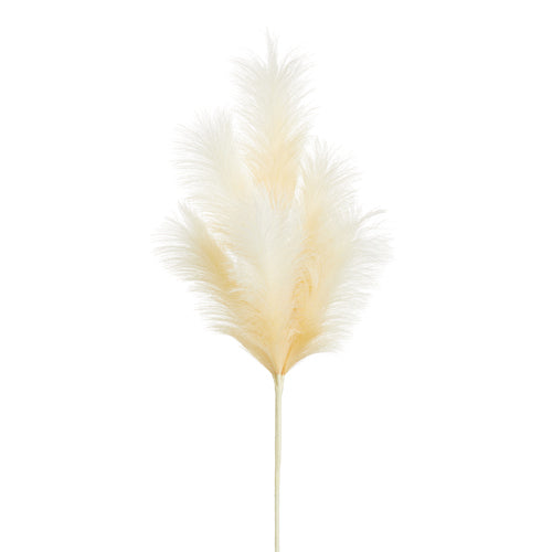 Pampas Spray