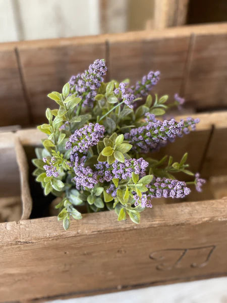 12" Faux Purple Sweetspire Bush