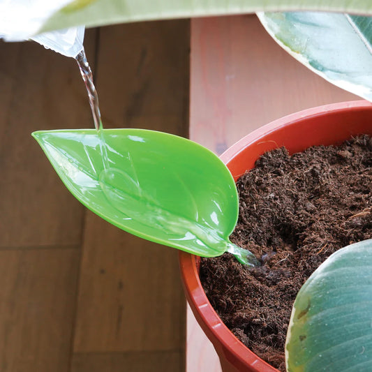 Leaf Funnel