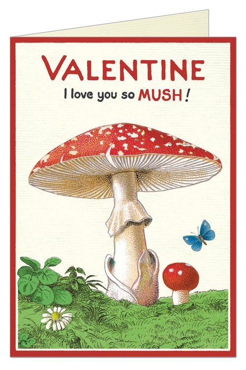 Valentine Card I love you a MUSH
