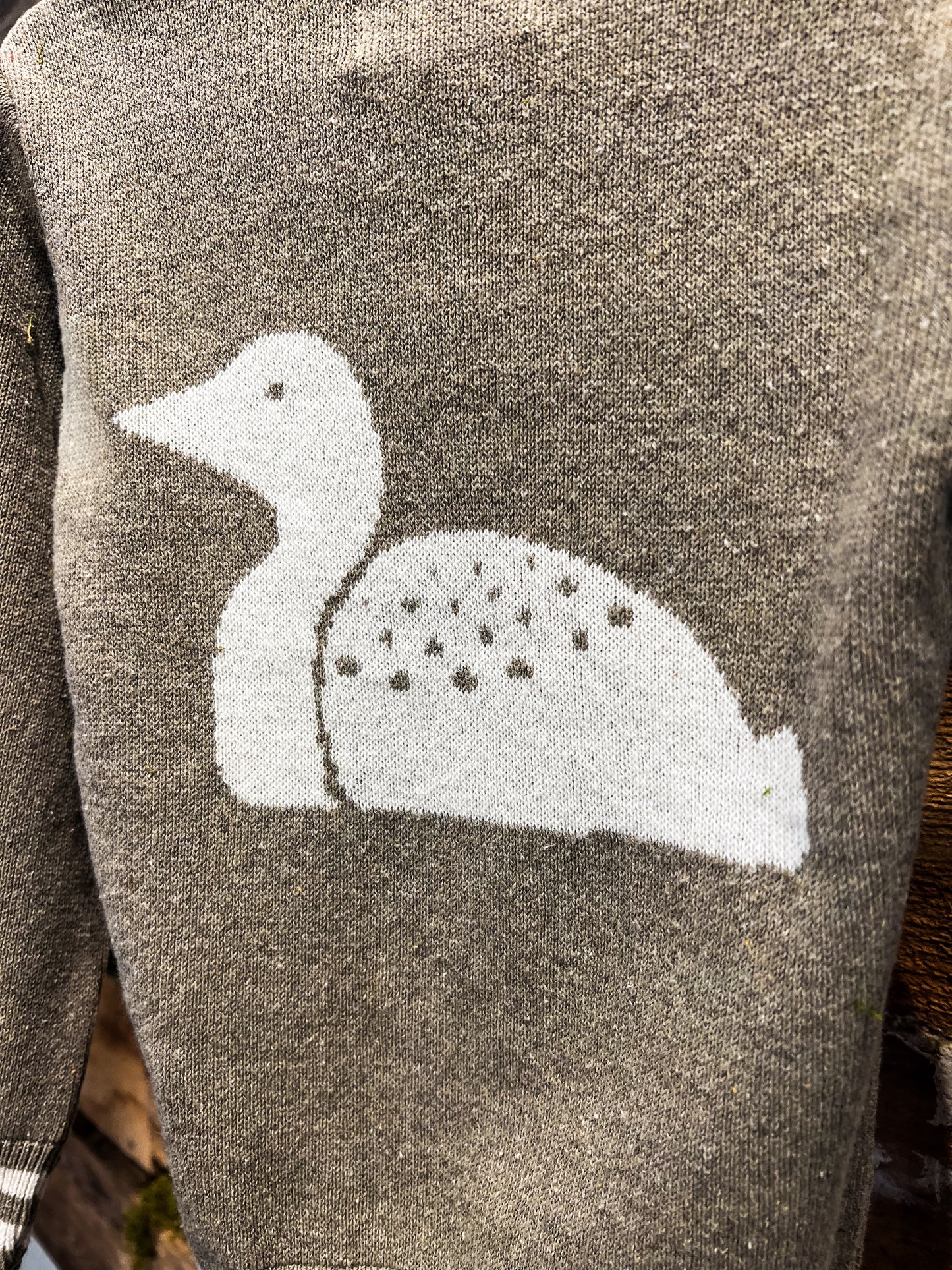 Kids Crewneck Icon Sweater Nisswa/Loon