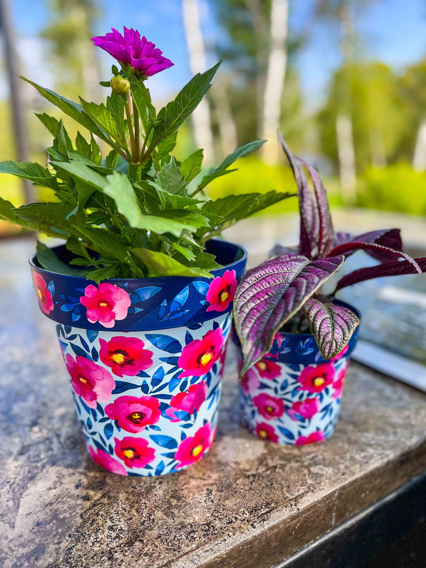zest plant pots Pink Poppies Zest Pot