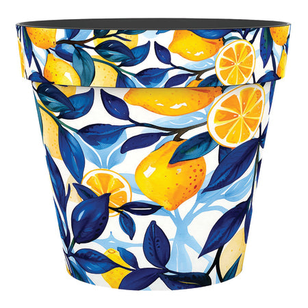 Marbella Zest Pot