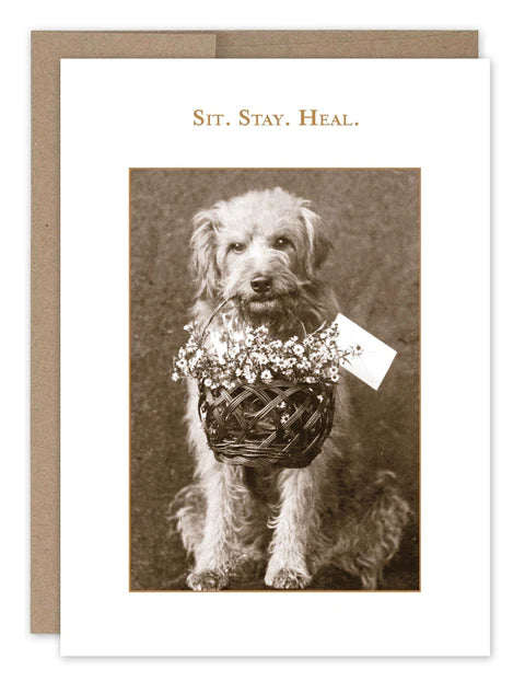 Shannon Martin Get Well Card