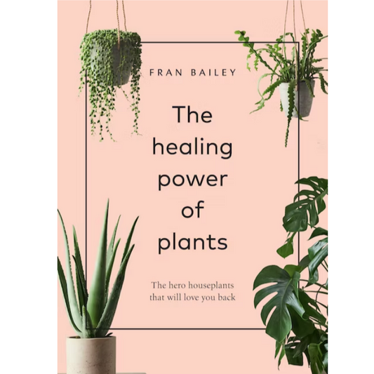 The Healing Power Of Plants